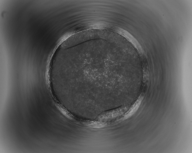 X0000087671026200705111153