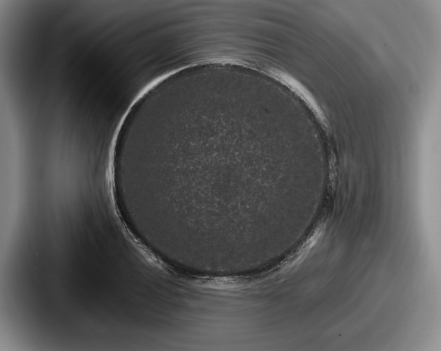 X0000087671028200705111153