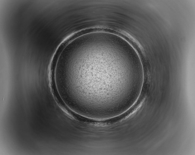 X0000087671029200705111153