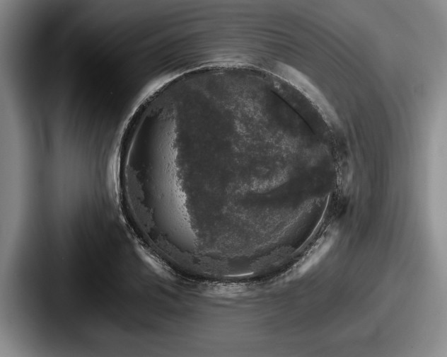 X0000087671030200705111153