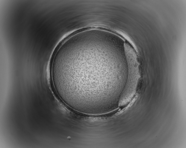 X0000087671032200705111153