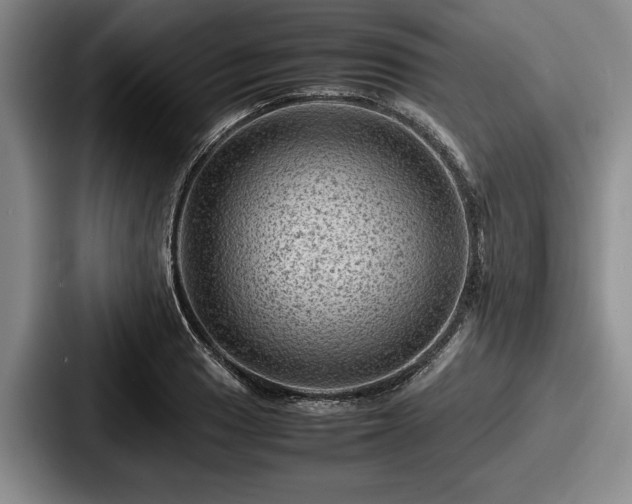 X0000087671033200705111153