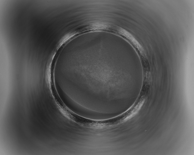 X0000087671034200705111153