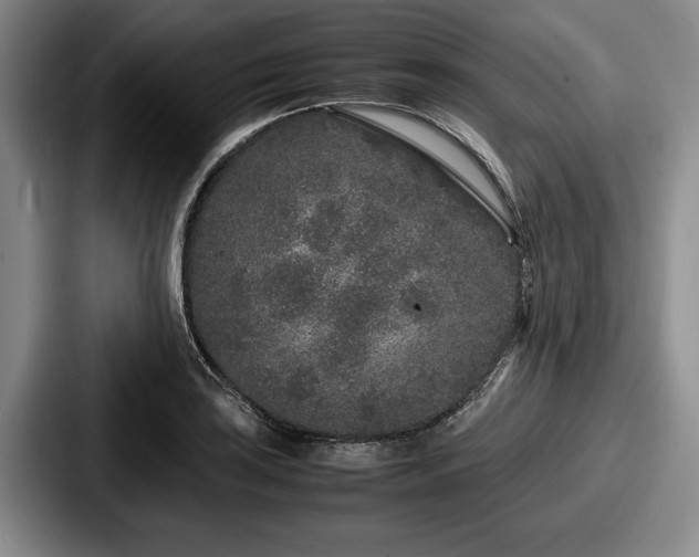 X0000087671035200705111153