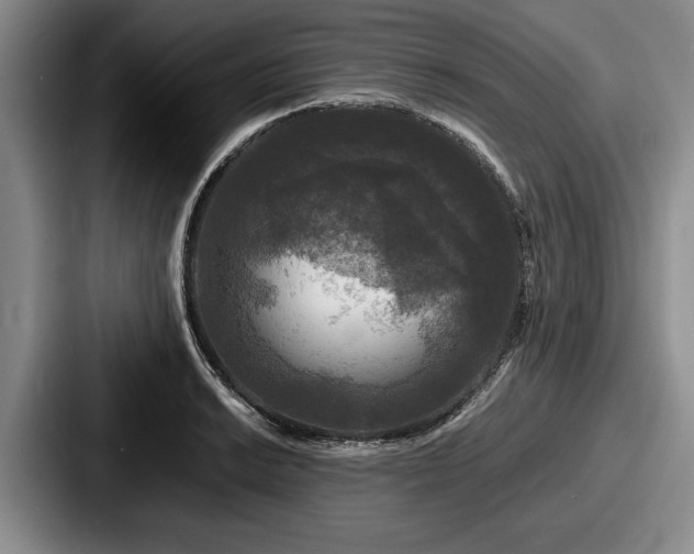 X0000087671038200705111153