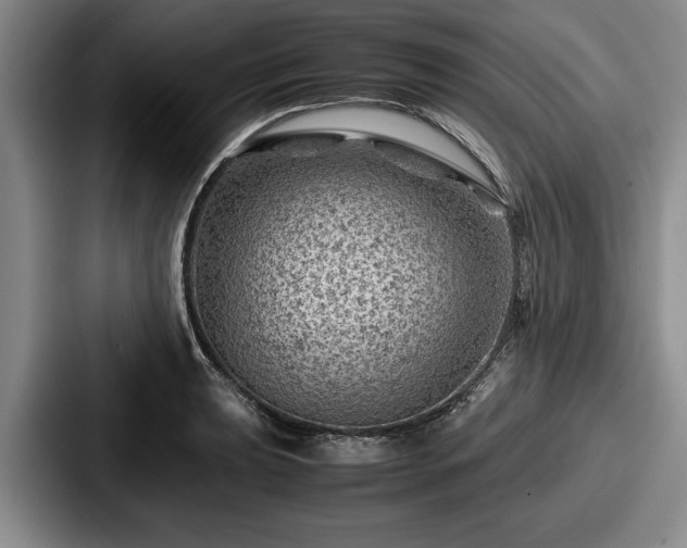 X0000087671039200705111153