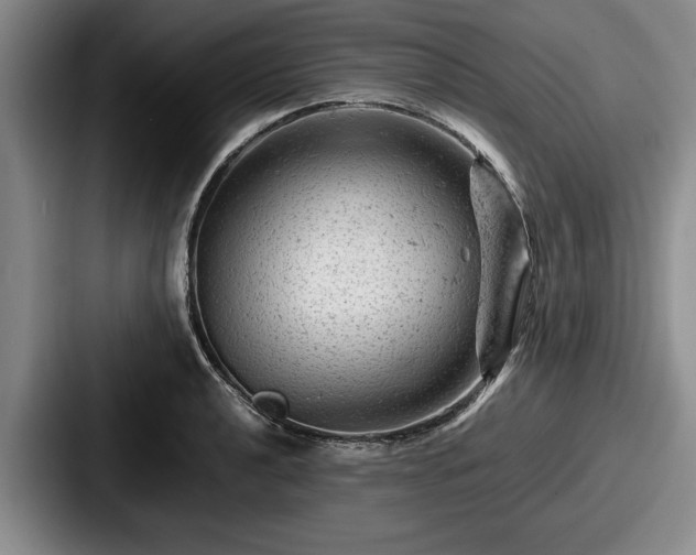 X0000087671040200705111153