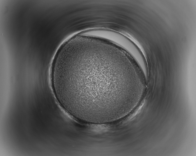 X0000087671045200705111153