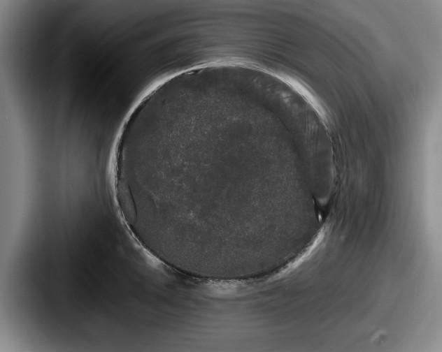 X0000087671046200705111153