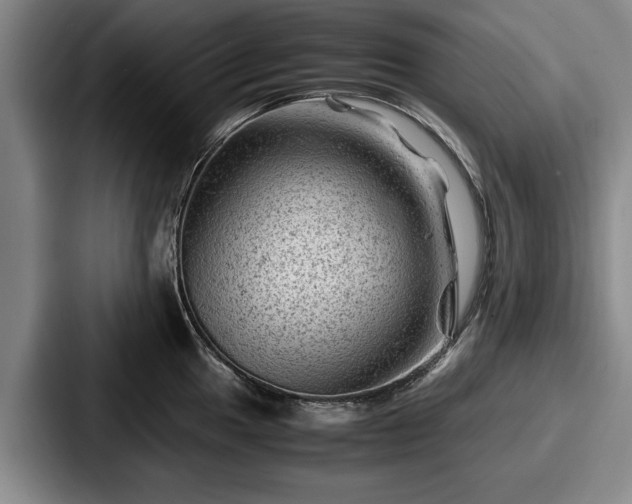 X0000087671049200705111153