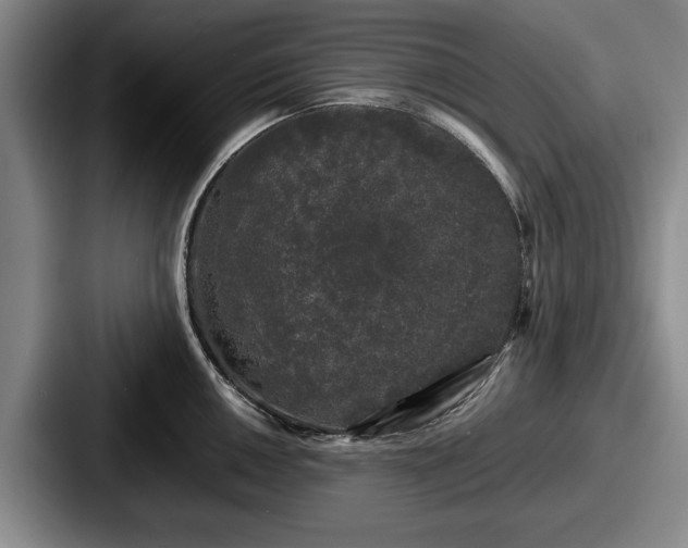 X0000087671050200705111153