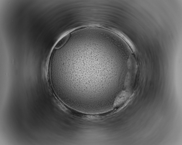 X0000087671052200705111153