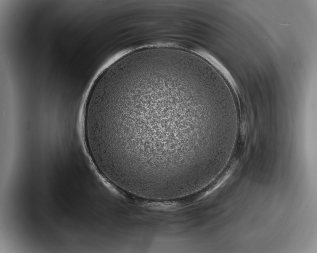 X0000087671053200705111154