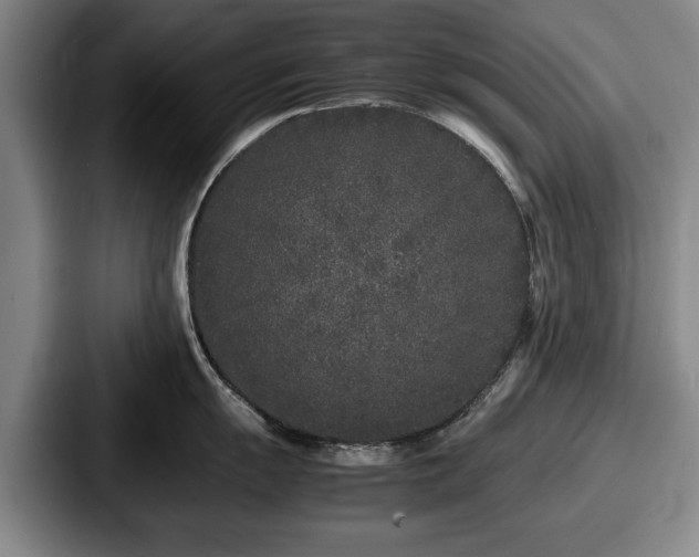 X0000087671055200705111154