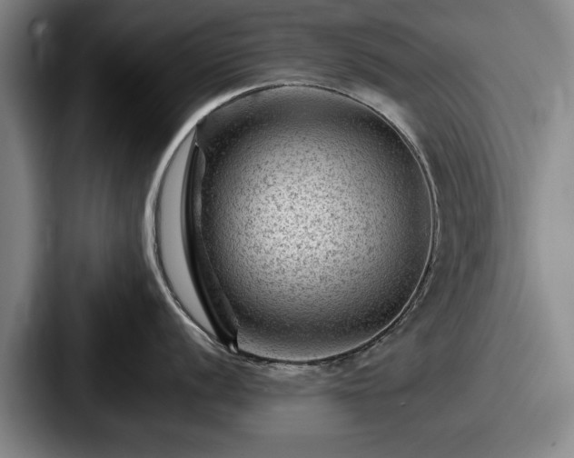 X0000087671056200705111154