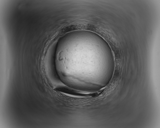 X0000087671057200705111153