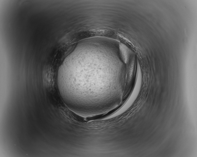 X0000087671058200705111153