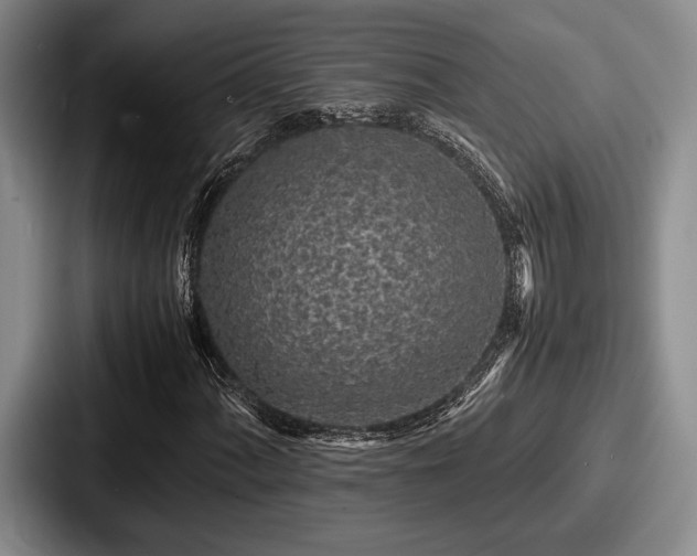 X0000087671060200705111153