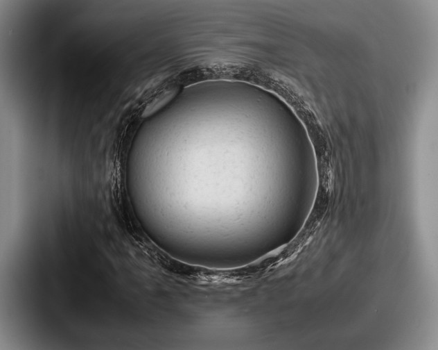 X0000087671061200705111153