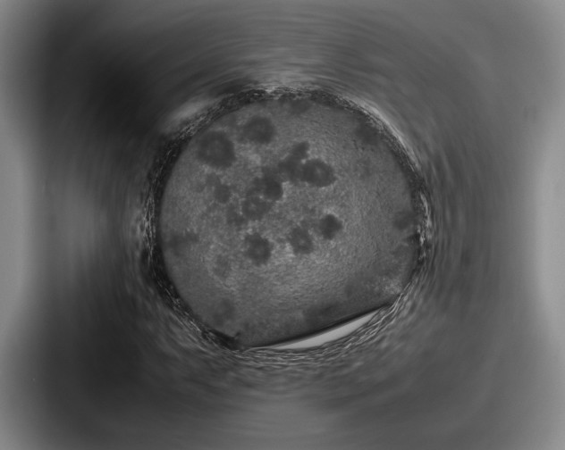 X0000087671063200705111153