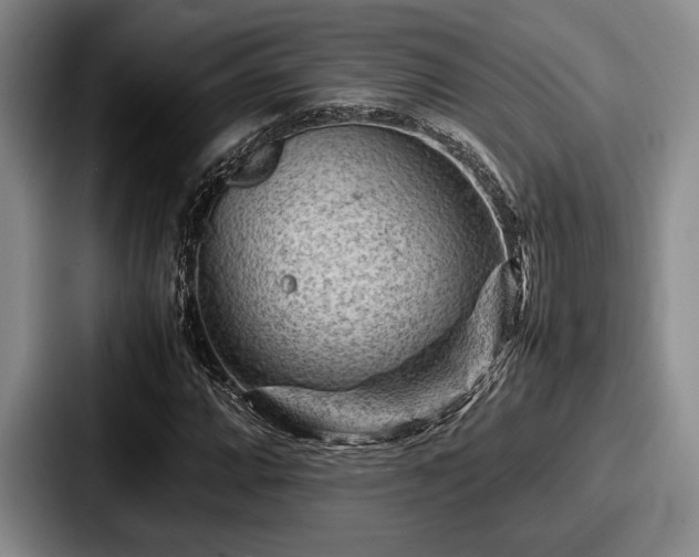 X0000087671064200705111153