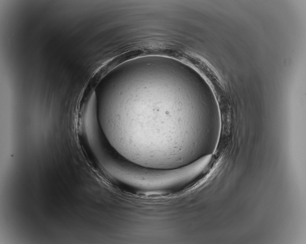 X0000087671065200705111153