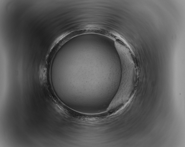 X0000087671066200705111153