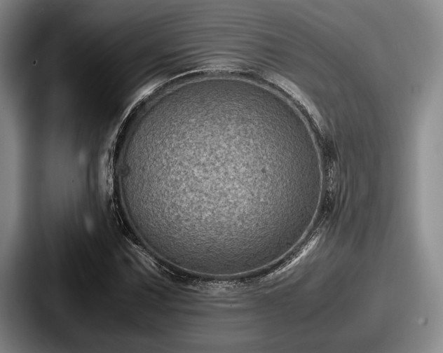 X0000087671067200705111153