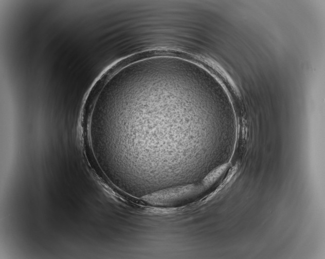 X0000087671068200705111153