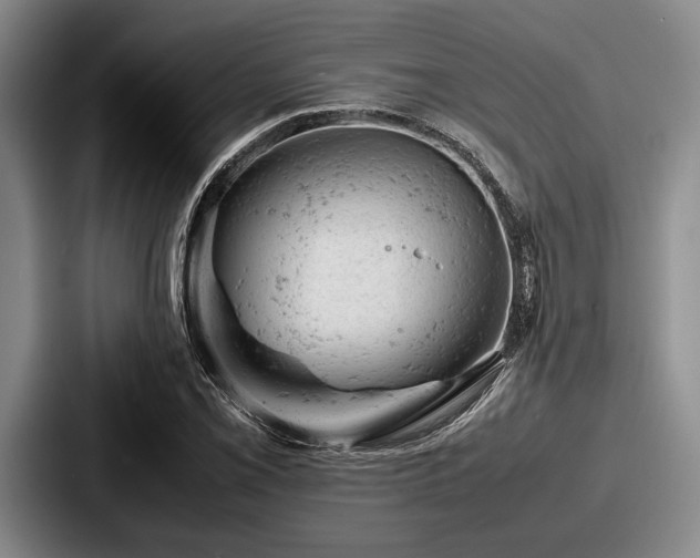 X0000087671069200705111153