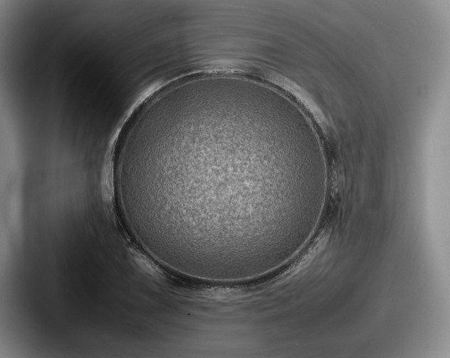 X0000087671075200705111153