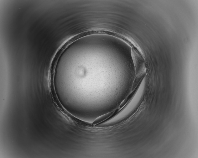 X0000087671076200705111153