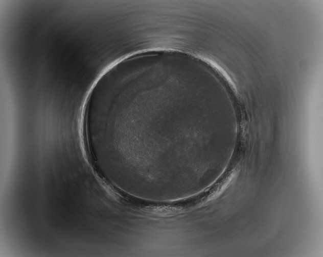 X0000087671077200705111153