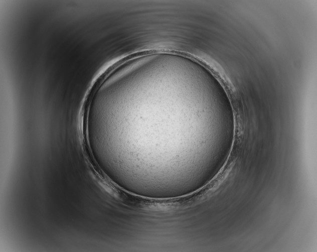 X0000087671078200705111153