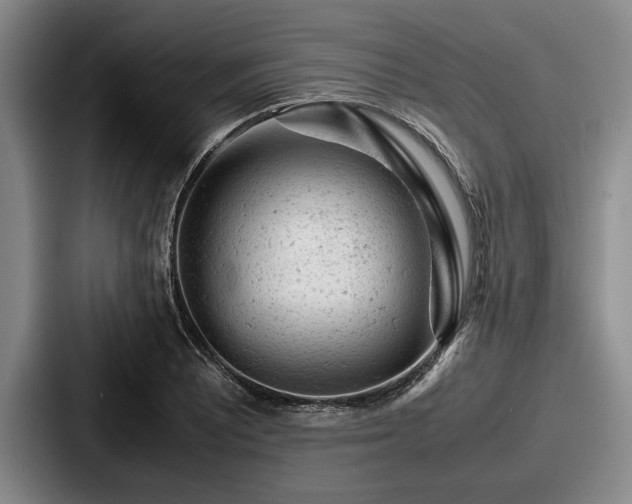 X0000087671081200705111153