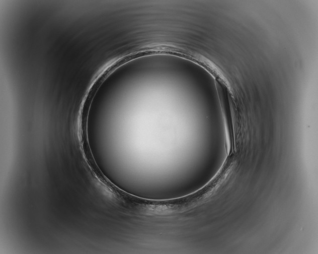 X0000087671082200705111153