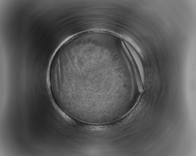 X0000087671084200705111153