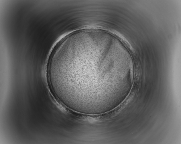 X0000087671086200705111153