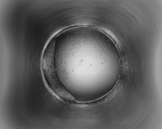 X0000087671088200705111153