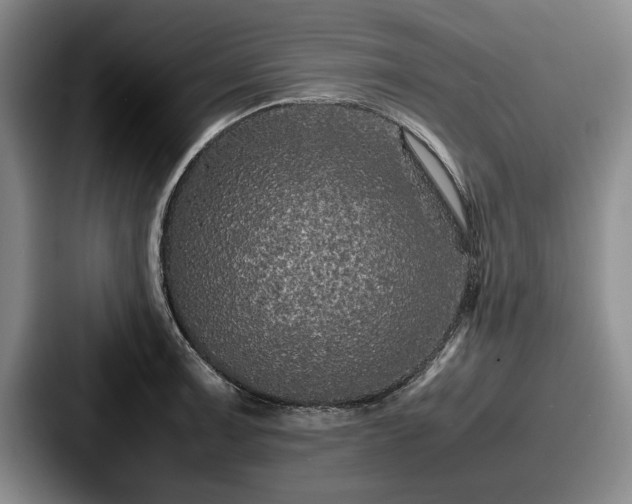 X0000087671091200705111152