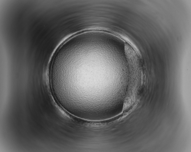 X0000087671092200705111152