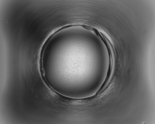 X0000087671093200705111152