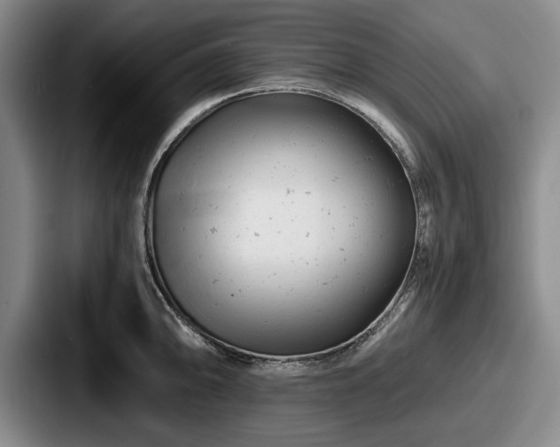 X0000087671094200705111152