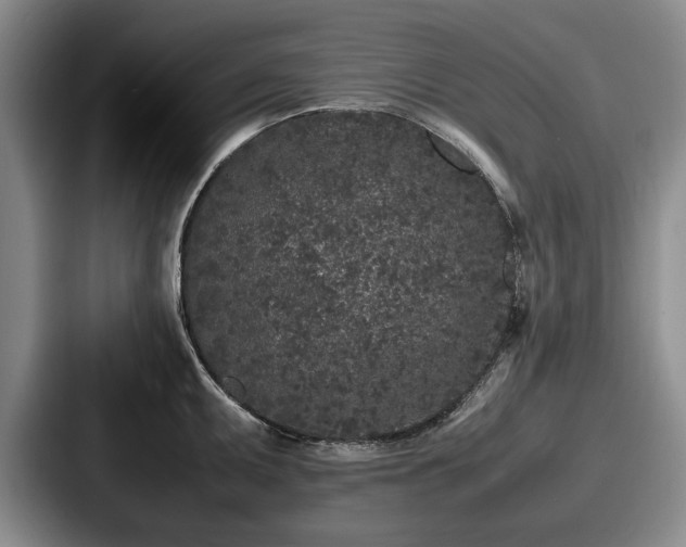 X0000087671095200705111152