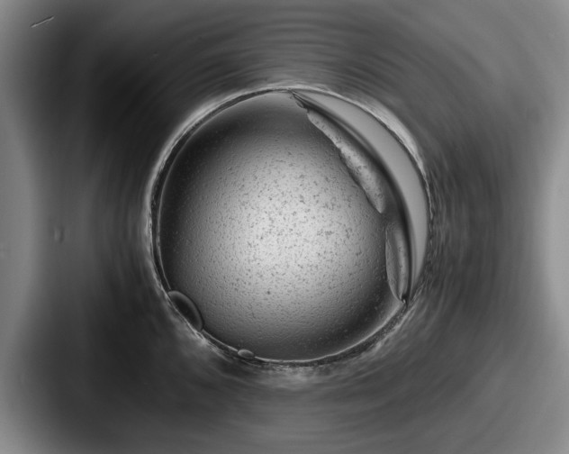 X0000087671096200705111152