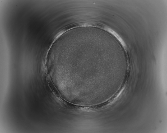 X0000087671097200705111152