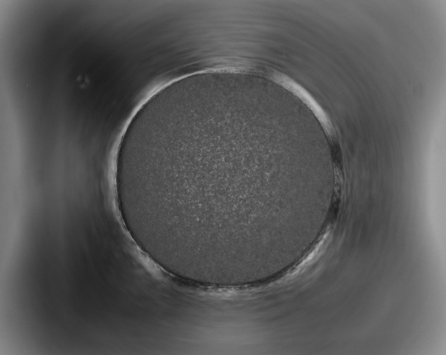 X0000087671099200705111152