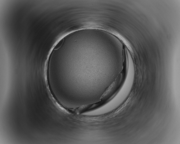 X0000087671102200705111152