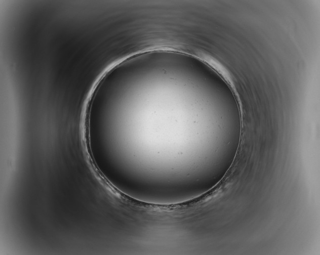 X0000087671104200705111152