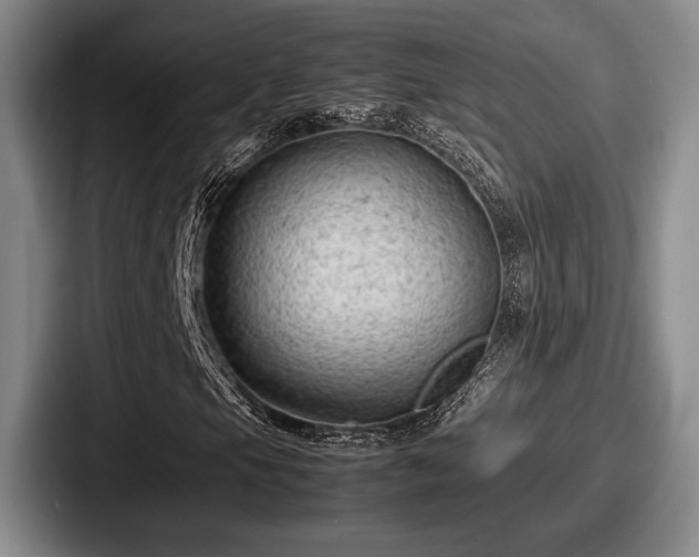 X0000087671105200705111152